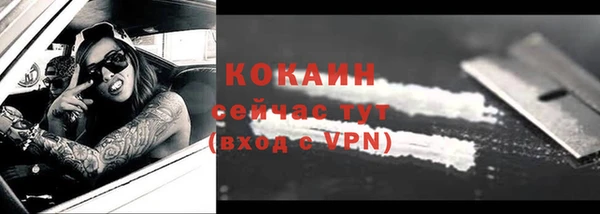 спиды Бородино