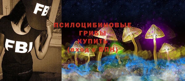 спиды Бородино