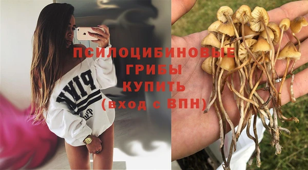 прущий лед Верхний Тагил