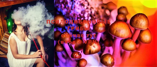 спиды Бородино